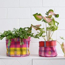 Load image into Gallery viewer, The Somewhere Co. - Paint it Plaid Planter Bags
