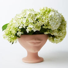 Load image into Gallery viewer, Jones and Co - Simone Planter Musk
